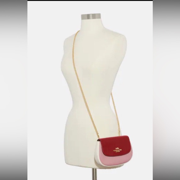 ✨🐹✨Coach Saddle Belt Bag In Colorblock - Picture 5 of 5